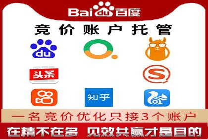竞价广告案例分享：XX电商平台的成功秘诀