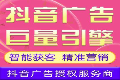 竞价排名案例：优化广告预算分配